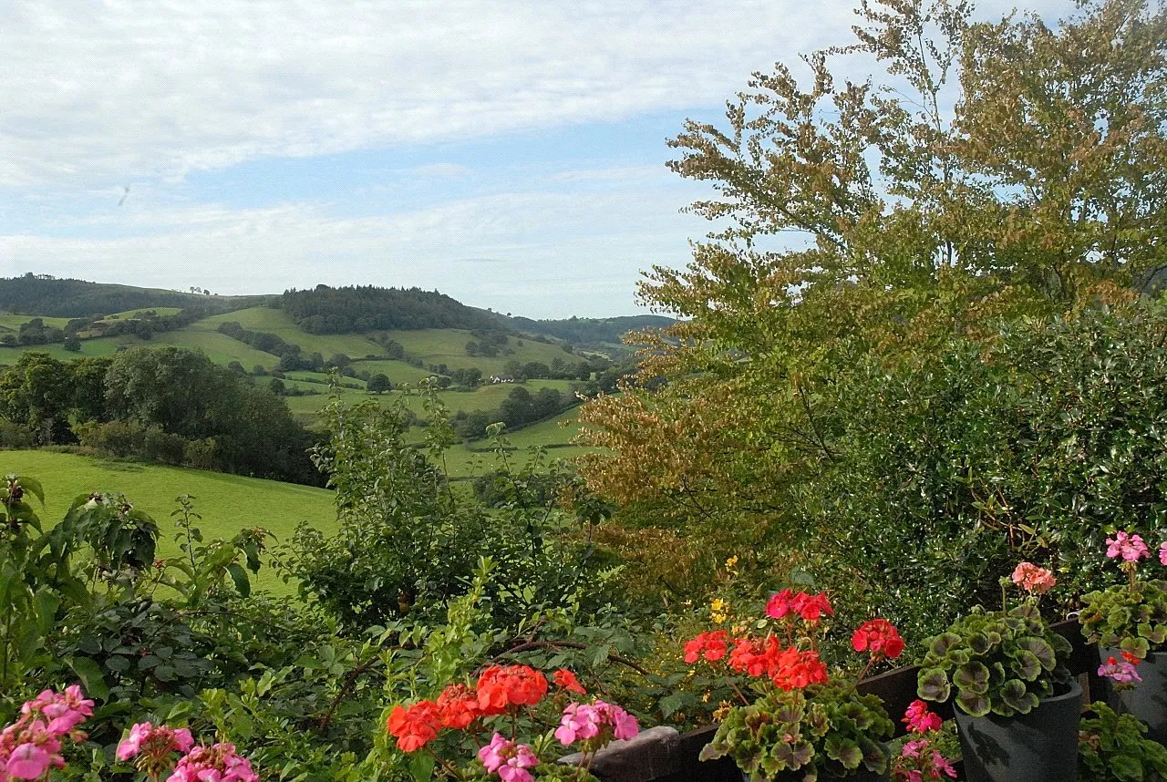 Llanfyllin, Powys, photo 28