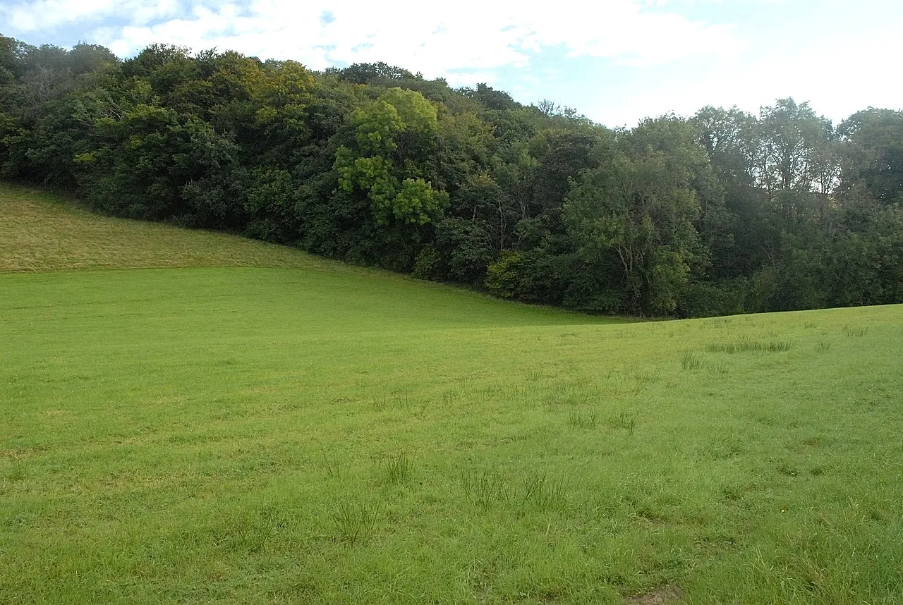 Llanfyllin, Powys, photo 39