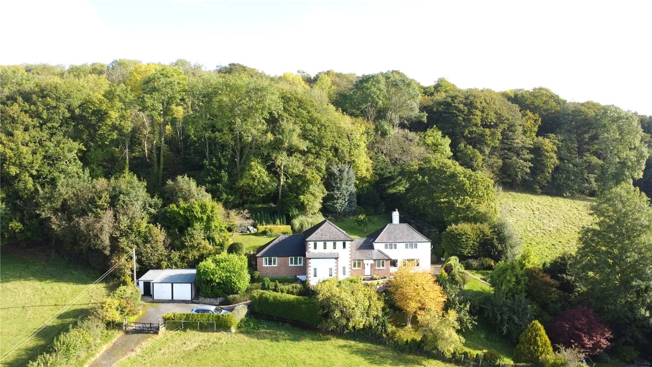 Llanfyllin, Powys, photo 26