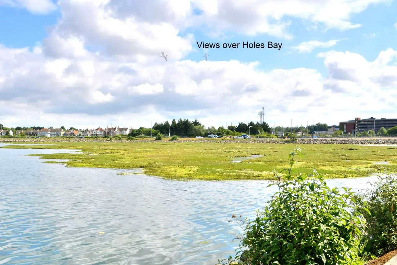 Sterte Esplanade, BH15, photo 27