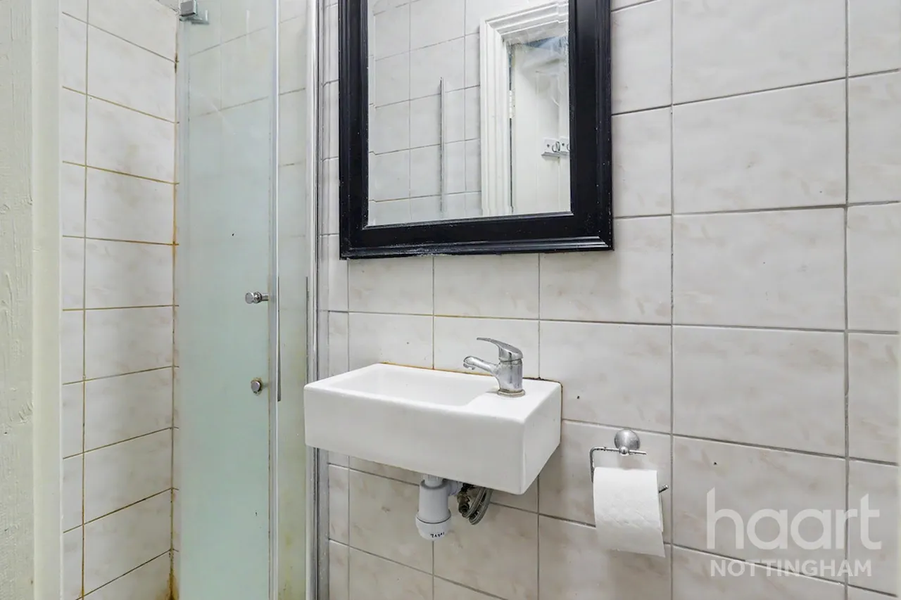 Birkin Avenue, Radford, NG7, photo 9