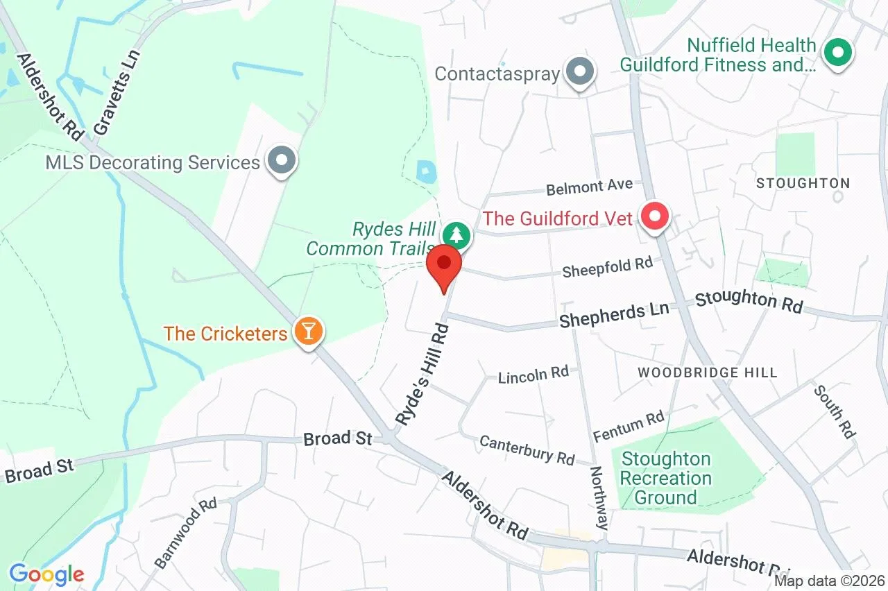 Rydes Hill Road, Guildford, GU2, photo 23