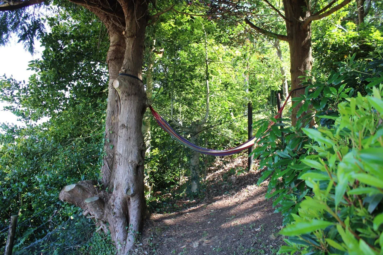 Bryn Eithin, Talsarnau, LL47, photo 7