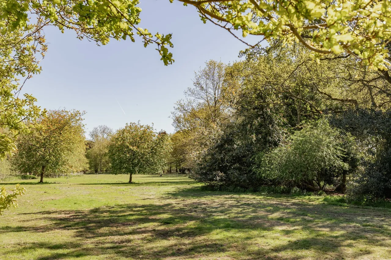 Quaint Country Home within 10 Acres i, photo 22