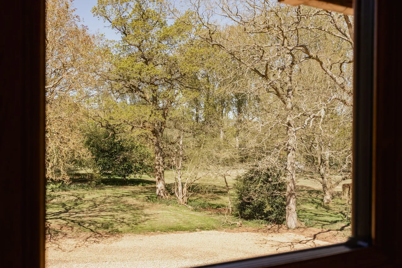Quaint Country Home within 10 Acres i, photo 18