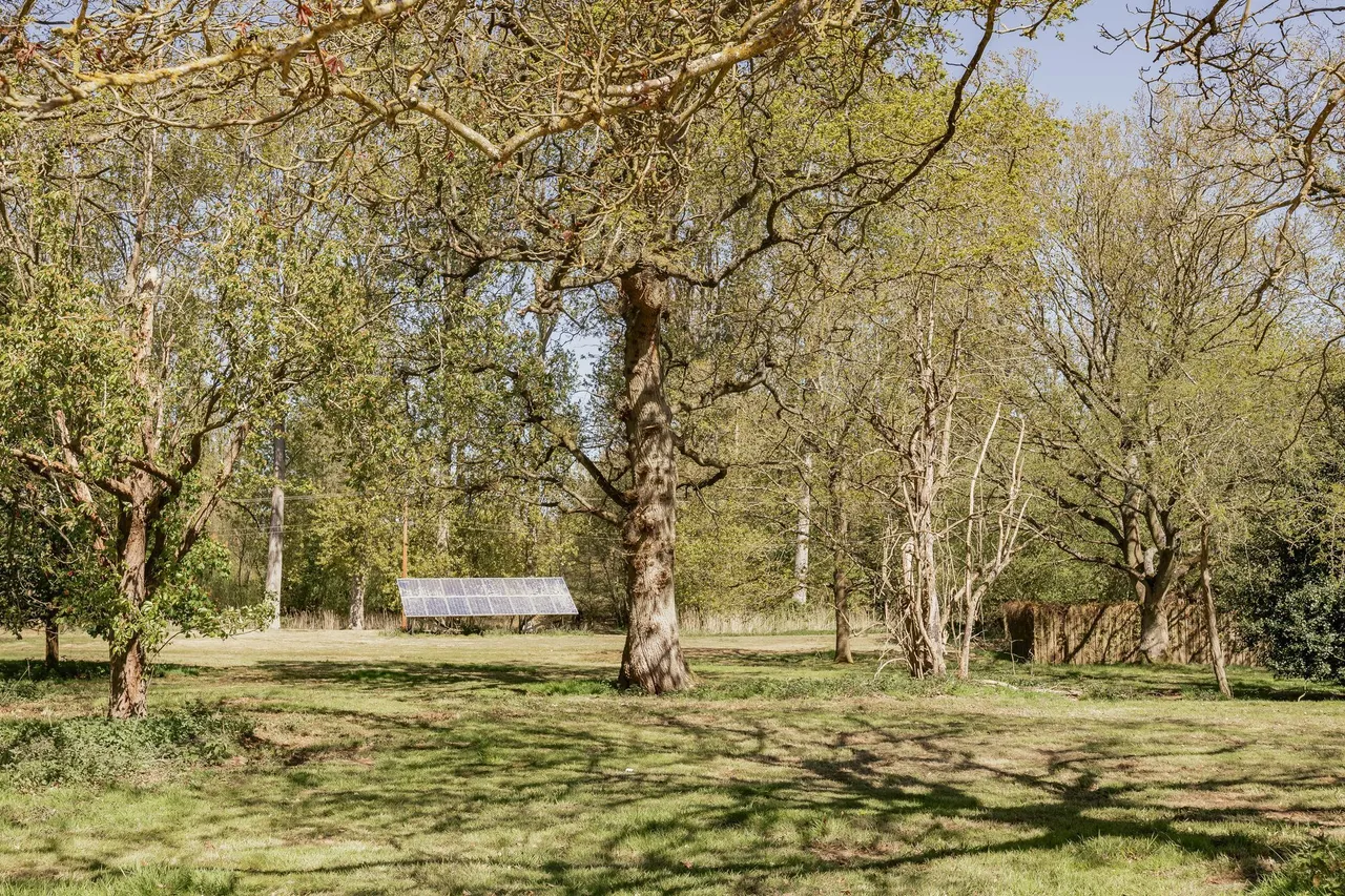 Quaint Country Home within 10 Acres i, photo 27