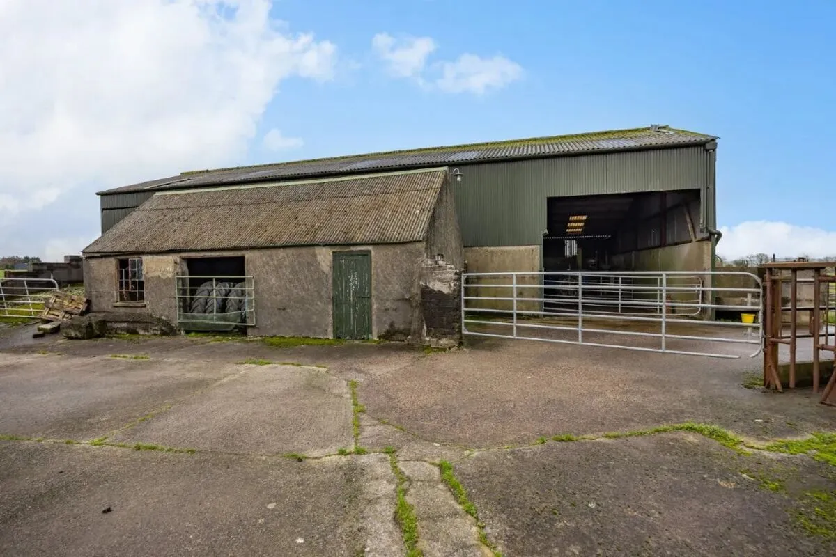 The Burn Road, Comber, BT23, photo 33