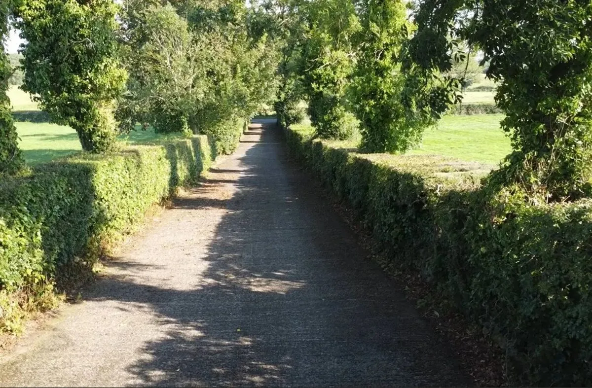 The Burn Road, Comber, BT23, photo 25