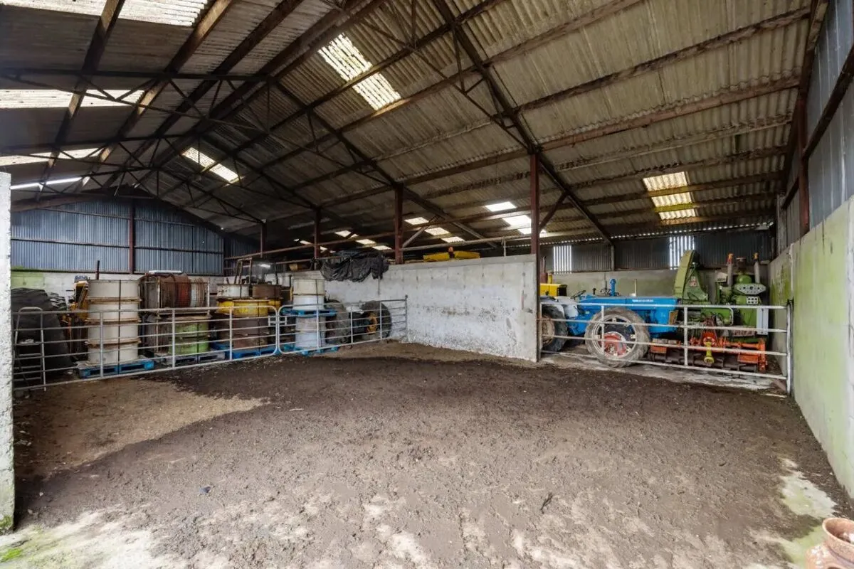 The Burn Road, Comber, BT23, photo 24