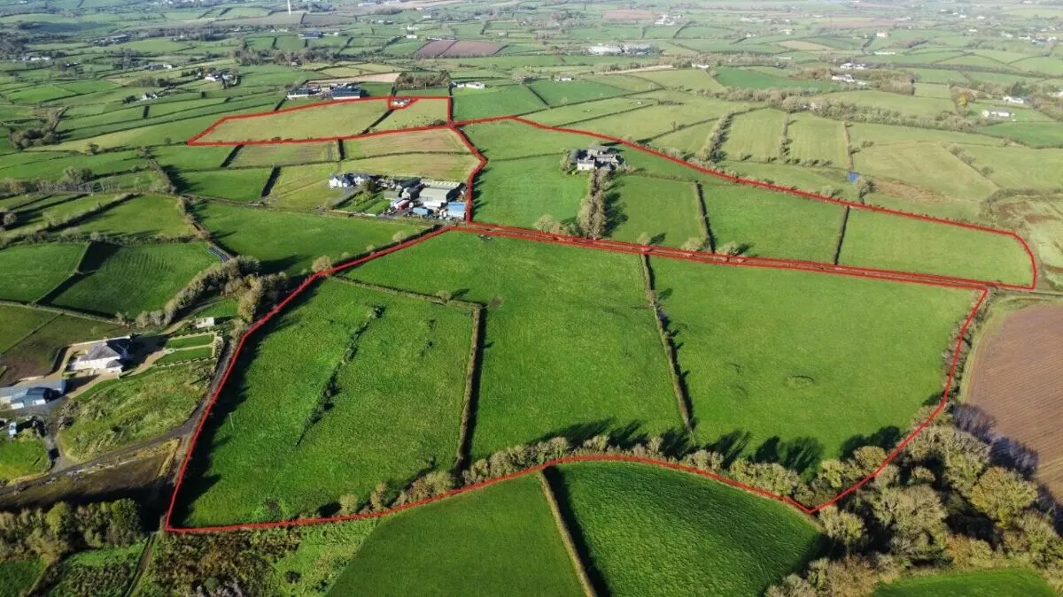 The Burn Road, Comber, BT23, photo 2