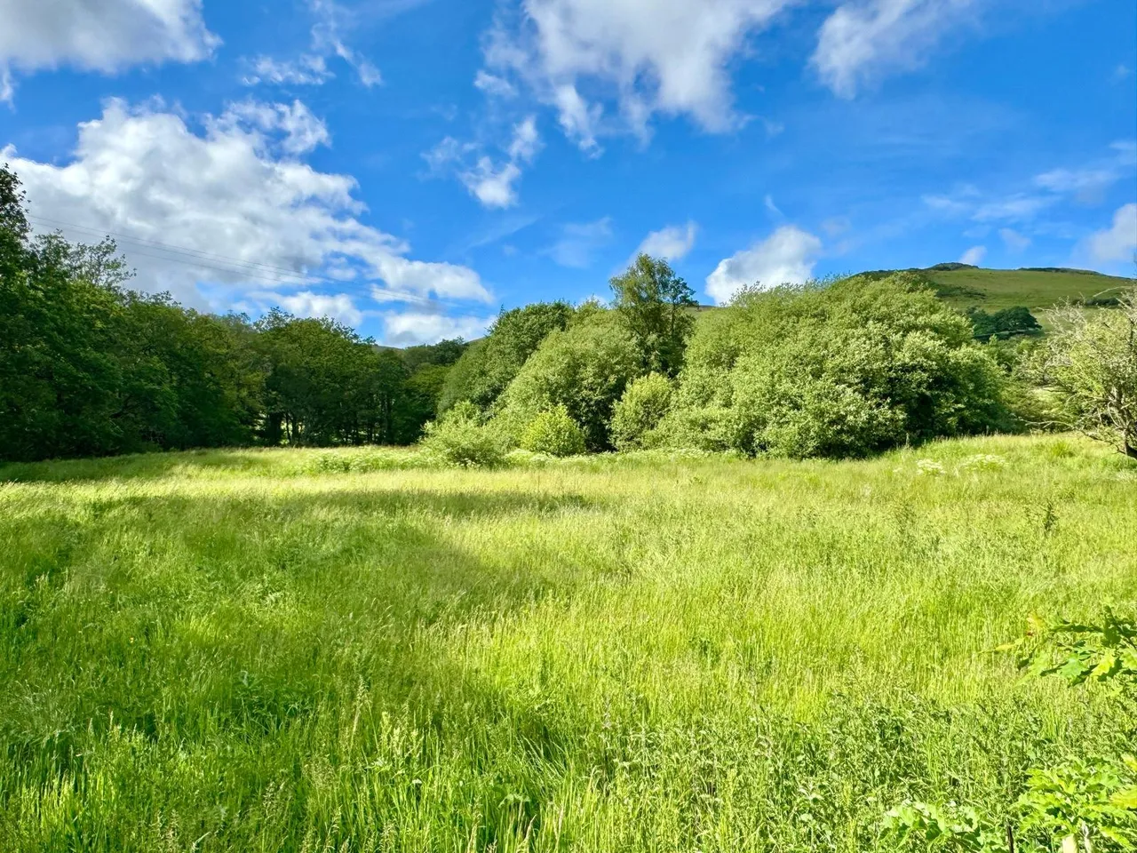 Llanafanfawr, Builth Wells, Powys, LD2 3PW, photo 23