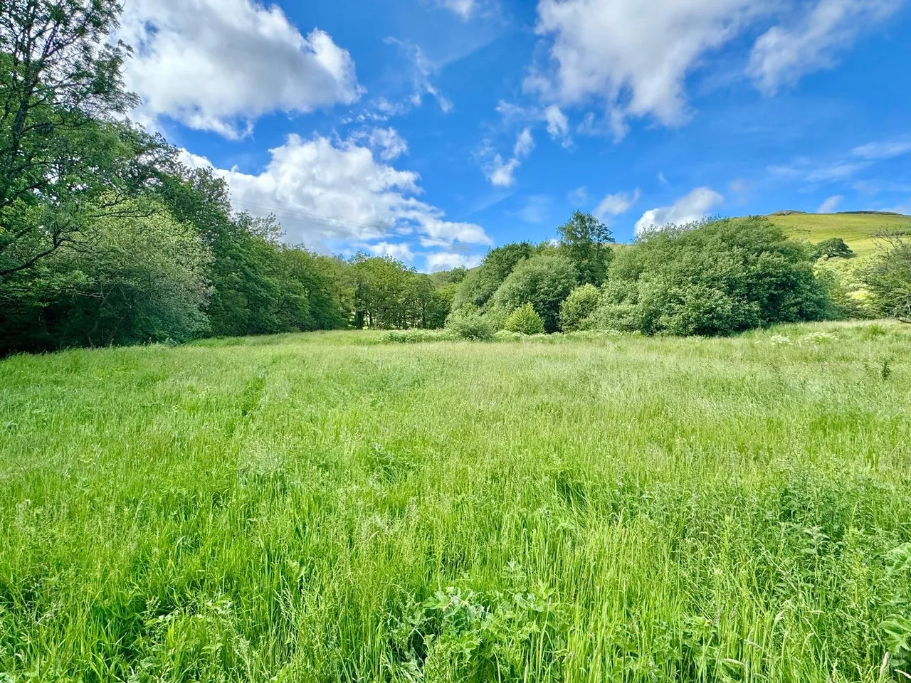 Llanafanfawr, Builth Wells, Powys, LD2 3PW, photo 24