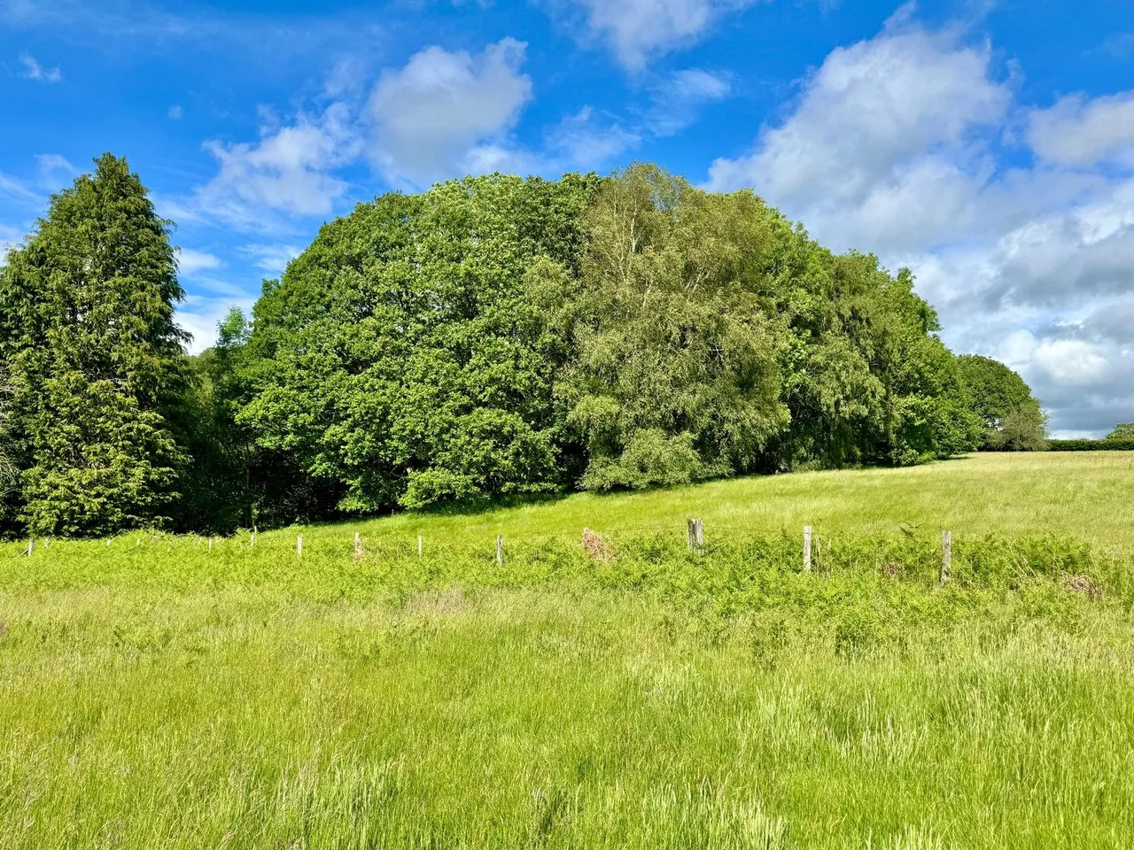 Llanafanfawr, Builth Wells, Powys, LD2 3PW, photo 31