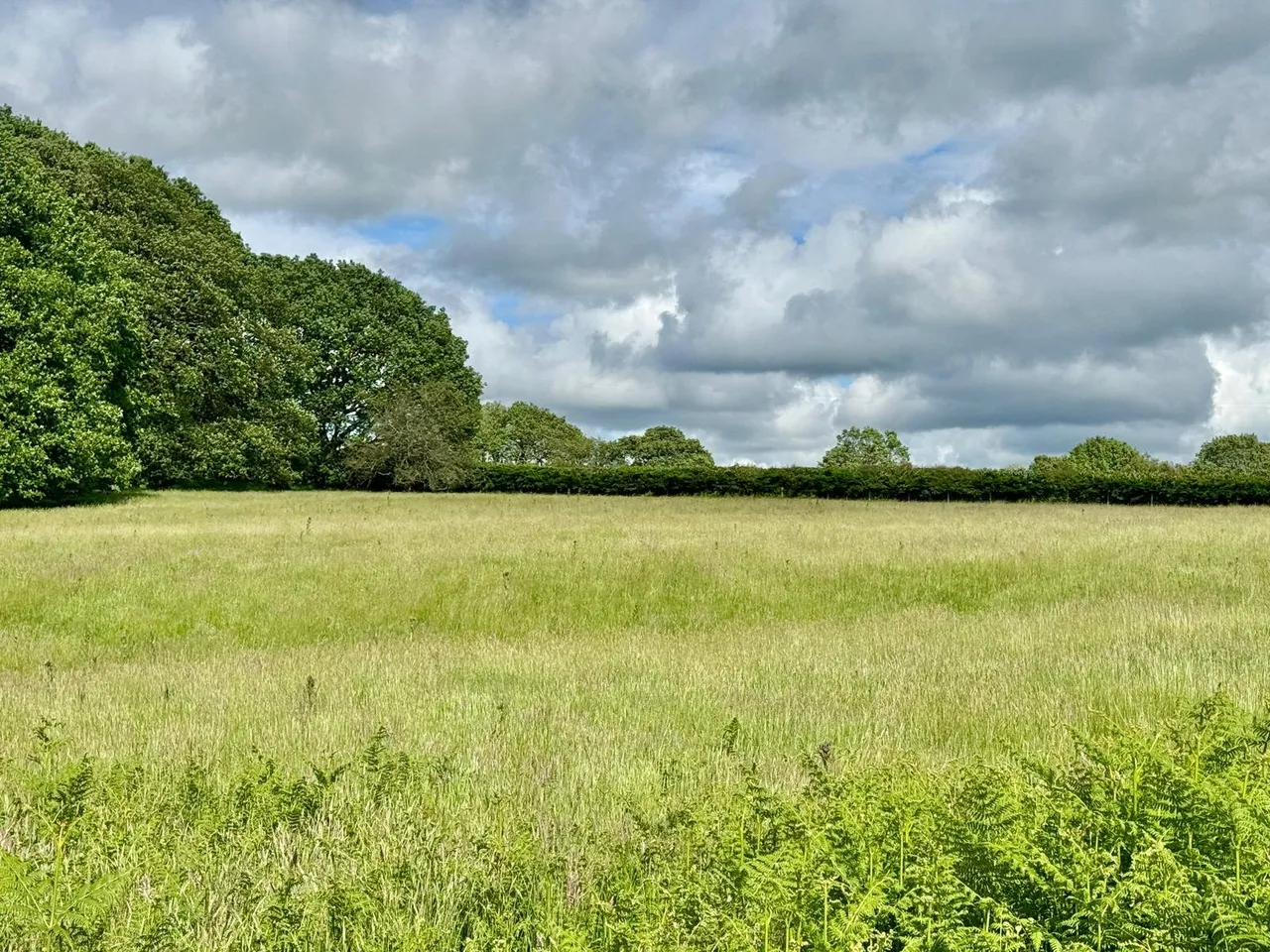 Llanafanfawr, Builth Wells, Powys, LD2 3PW, photo 29
