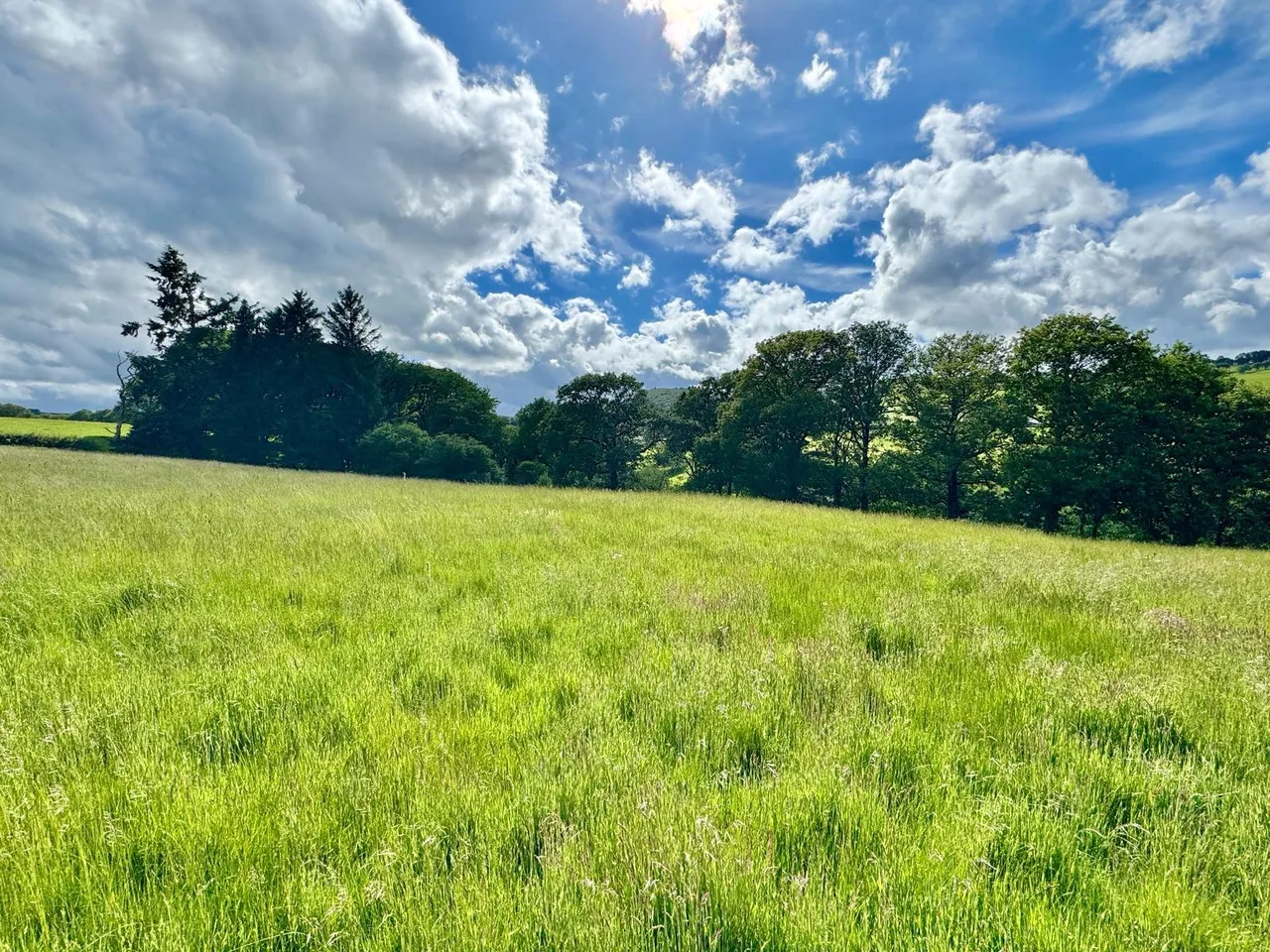 Llanafanfawr, Builth Wells, Powys, LD2 3PW, photo 26