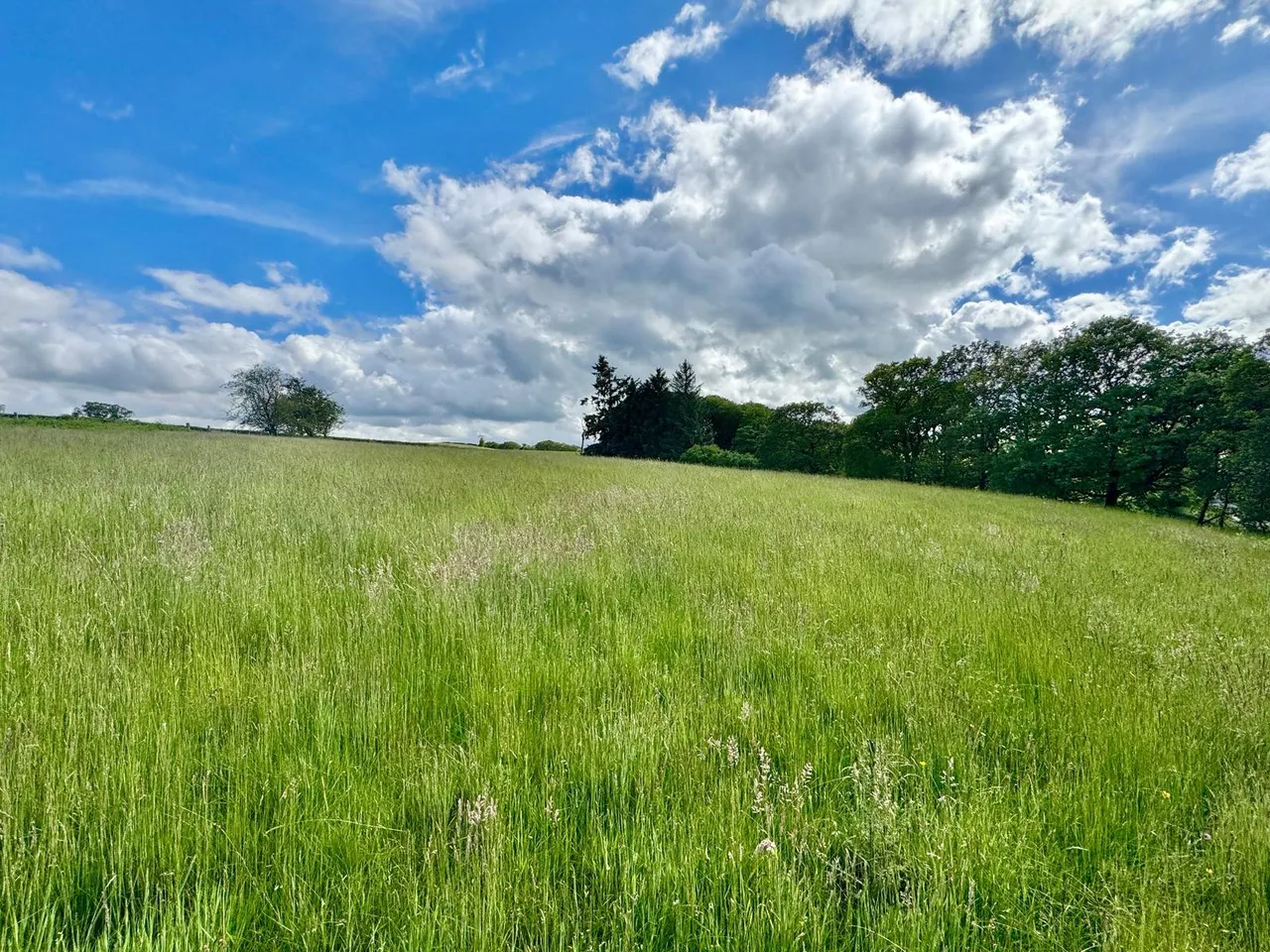 Llanafanfawr, Builth Wells, Powys, LD2 3PW, photo 25