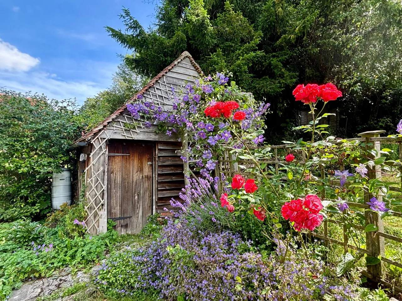 Chapel Road, Sutton Valence, photo 24