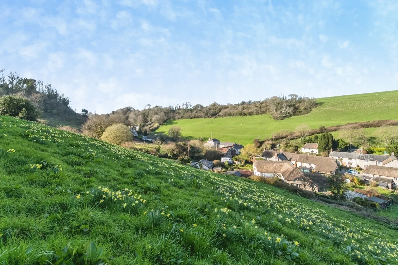 Branscombe, Seaton, EX12, photo 23