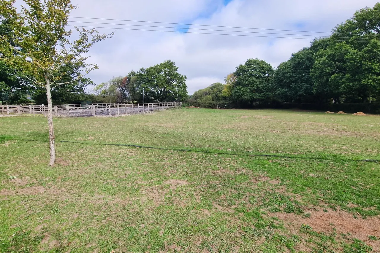 Hambledon, Hampshire, photo 40
