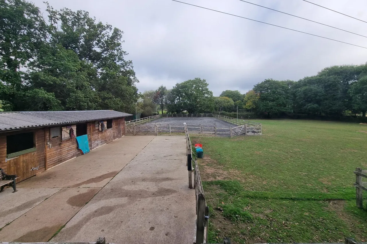 Hambledon, Hampshire, photo 27