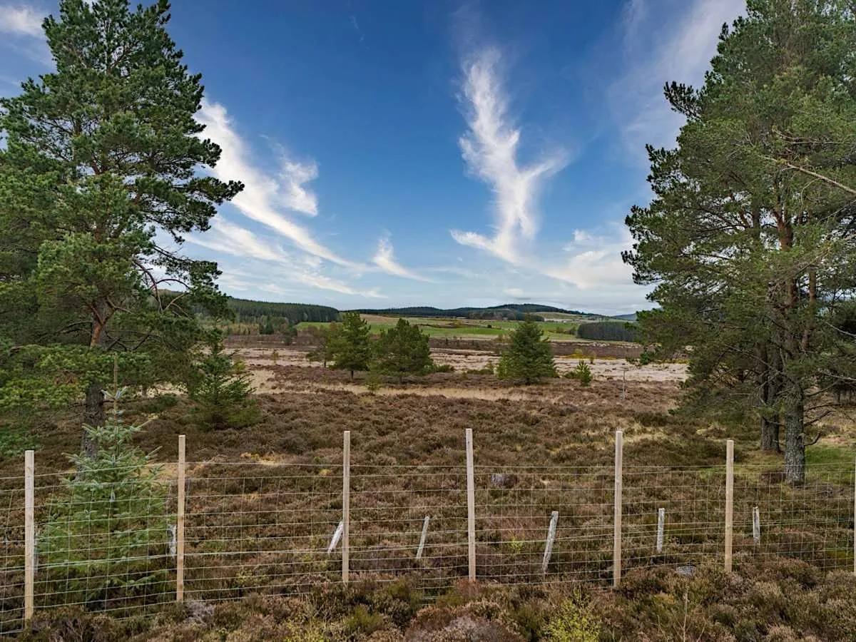 Caledonia, Elchies, Craigellachie, Aberlour, Moray, AB38 9SL, photo 12