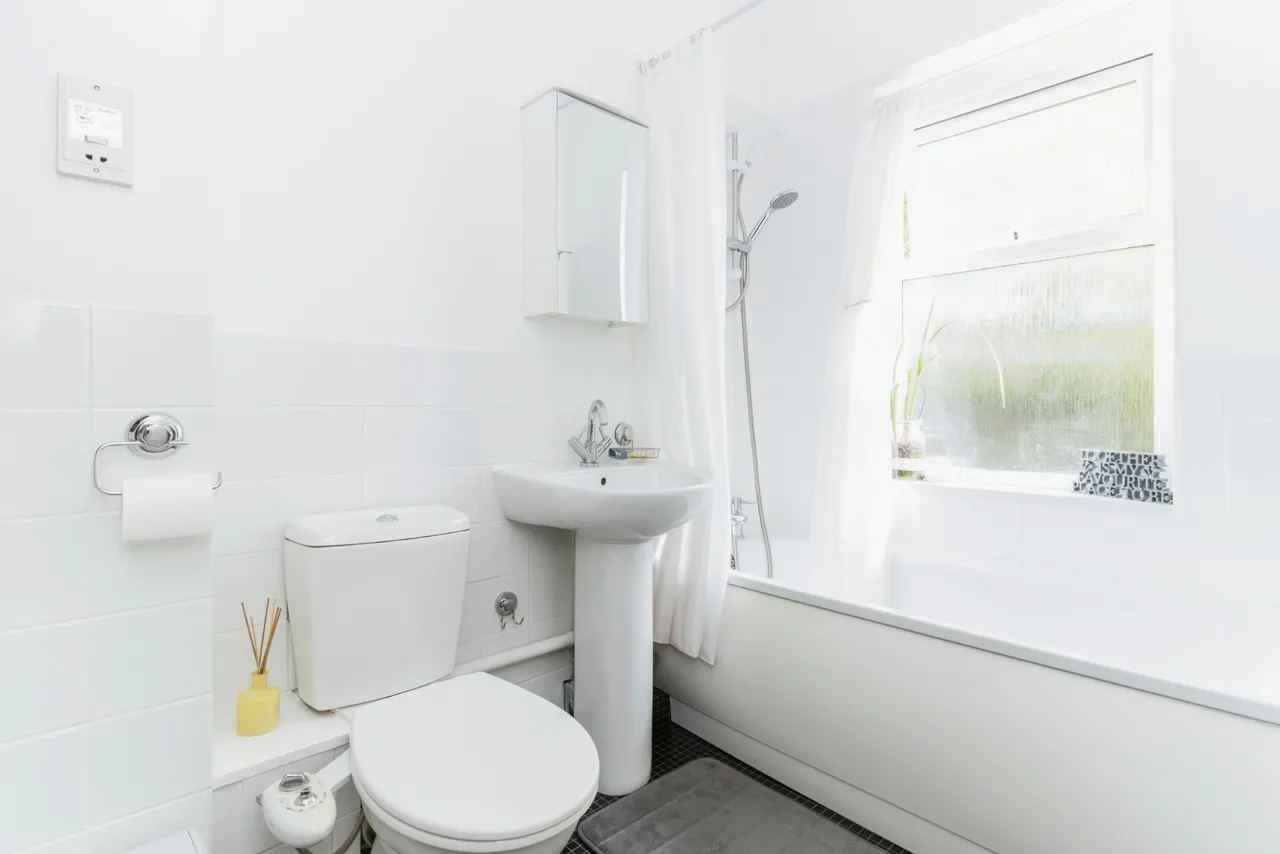 Belle Vue Road, Paignton, TQ4, photo 11
