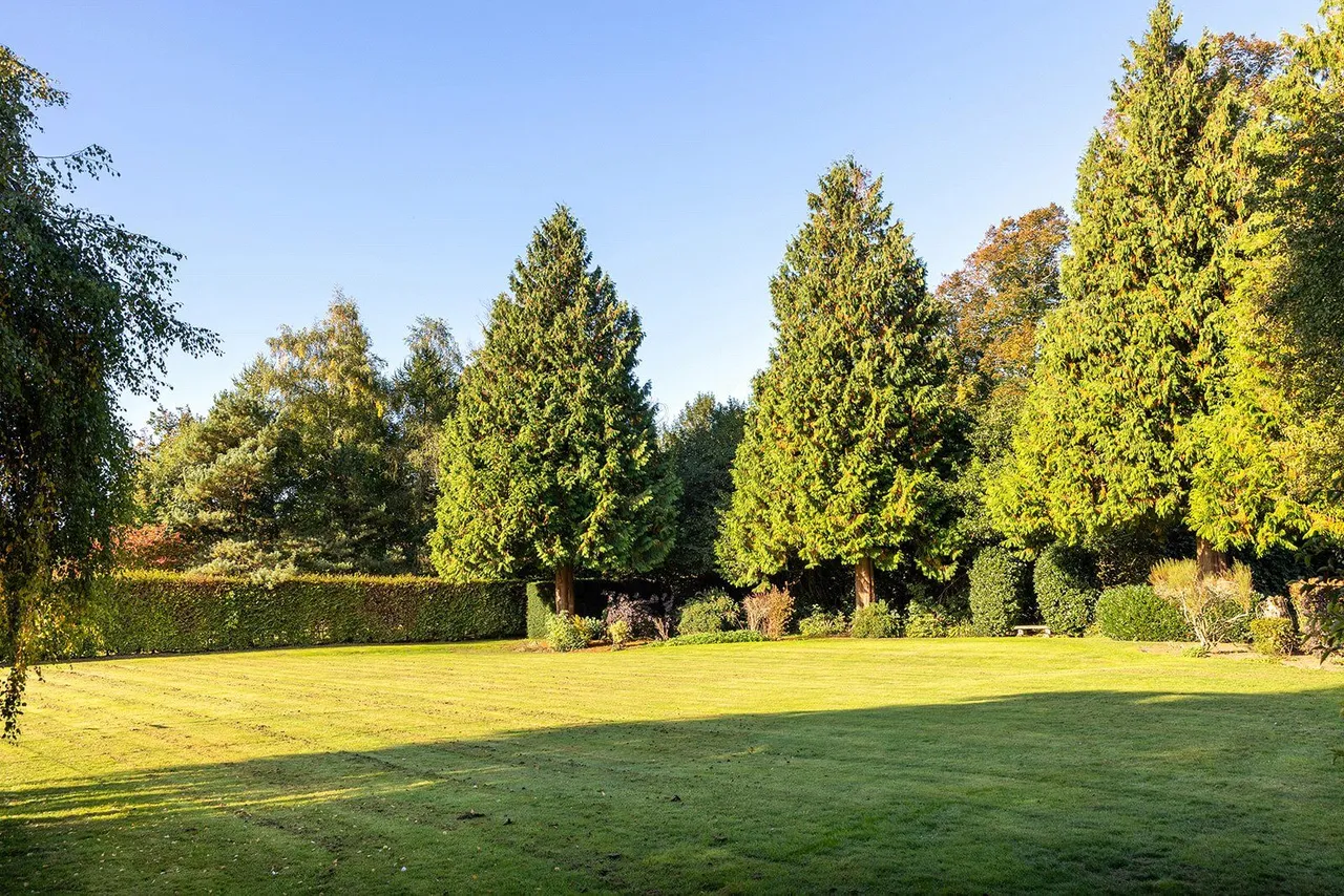Woodlands St. Mary, Hungerford, RG17, photo 19
