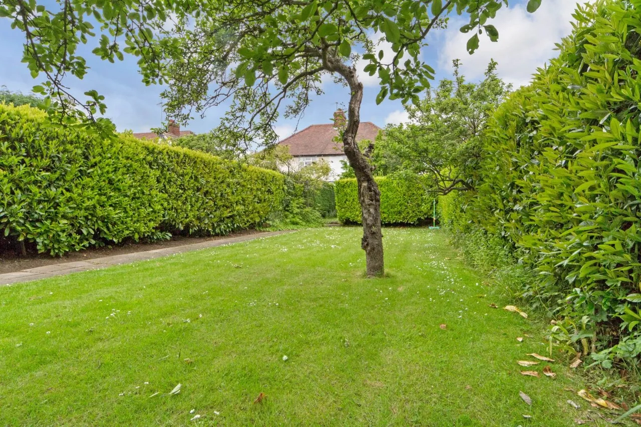Highfield Avenue, Cambridge, CB4, photo 11