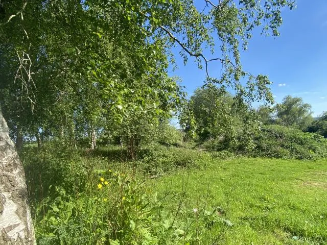 Barons Cross Road, Barons Cross, HR6, photo 4
