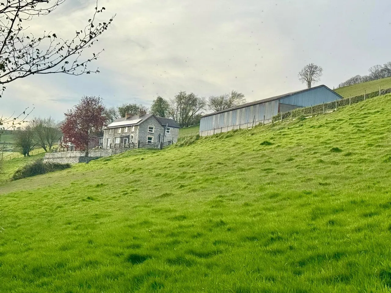 Gwenddwr, Builth Wells, Powys, LD2 3PZ, photo 26