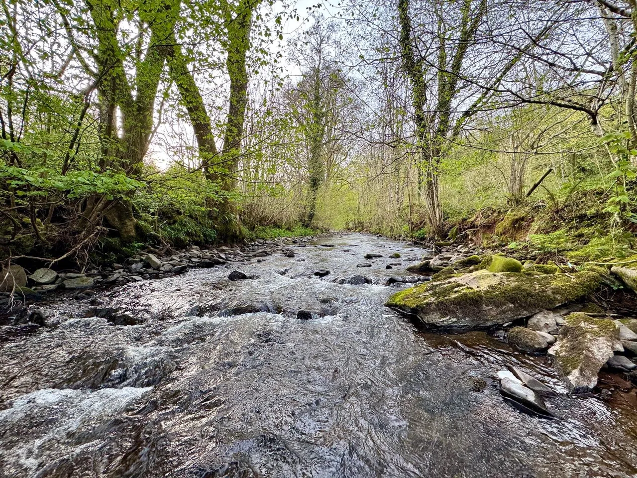 Gwenddwr, Builth Wells, Powys, LD2 3PZ, photo 24