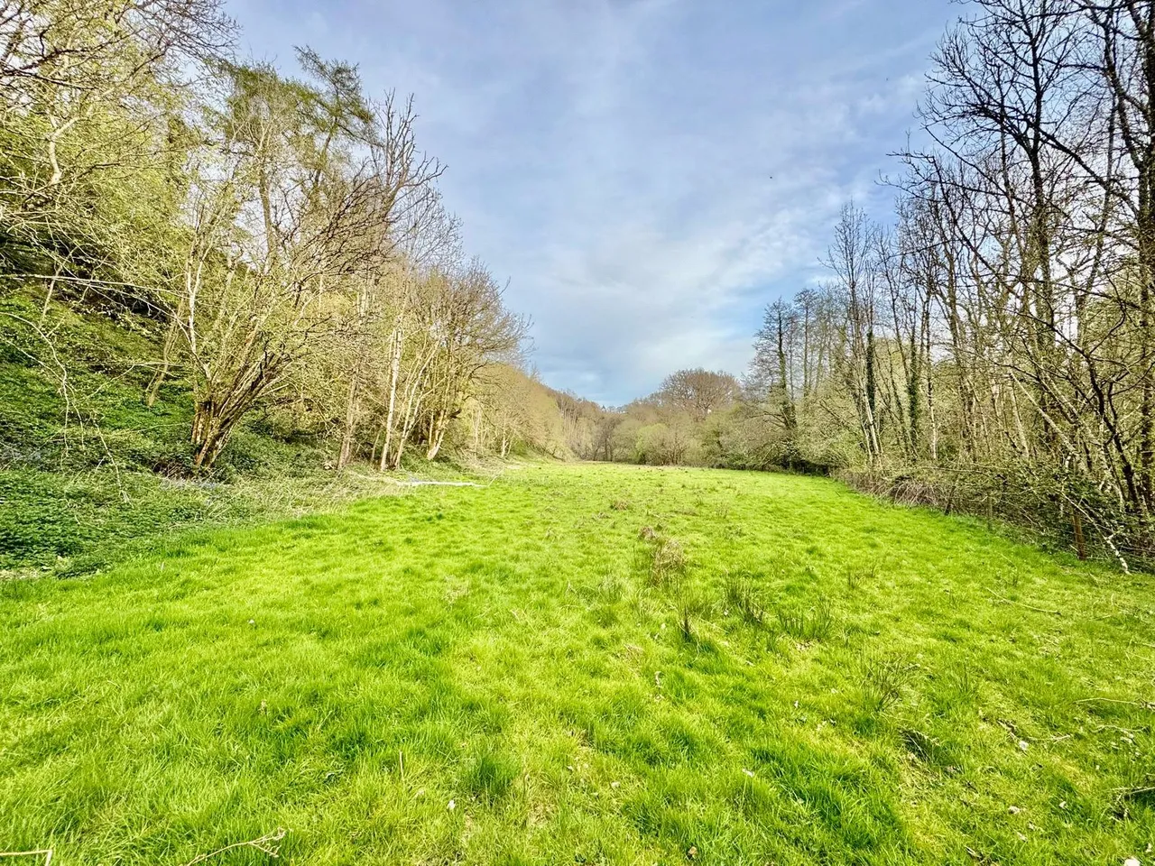 Gwenddwr, Builth Wells, Powys, LD2 3PZ, photo 19