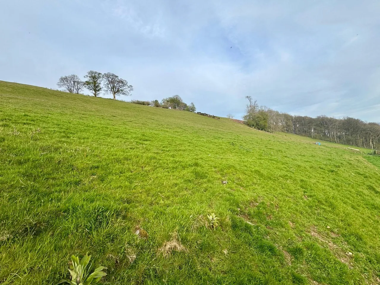 Gwenddwr, Builth Wells, Powys, LD2 3PZ, photo 20