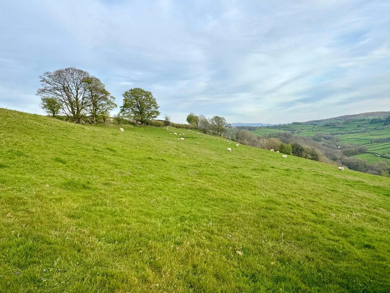 Gwenddwr, Builth Wells, Powys, LD2 3PZ, photo 21