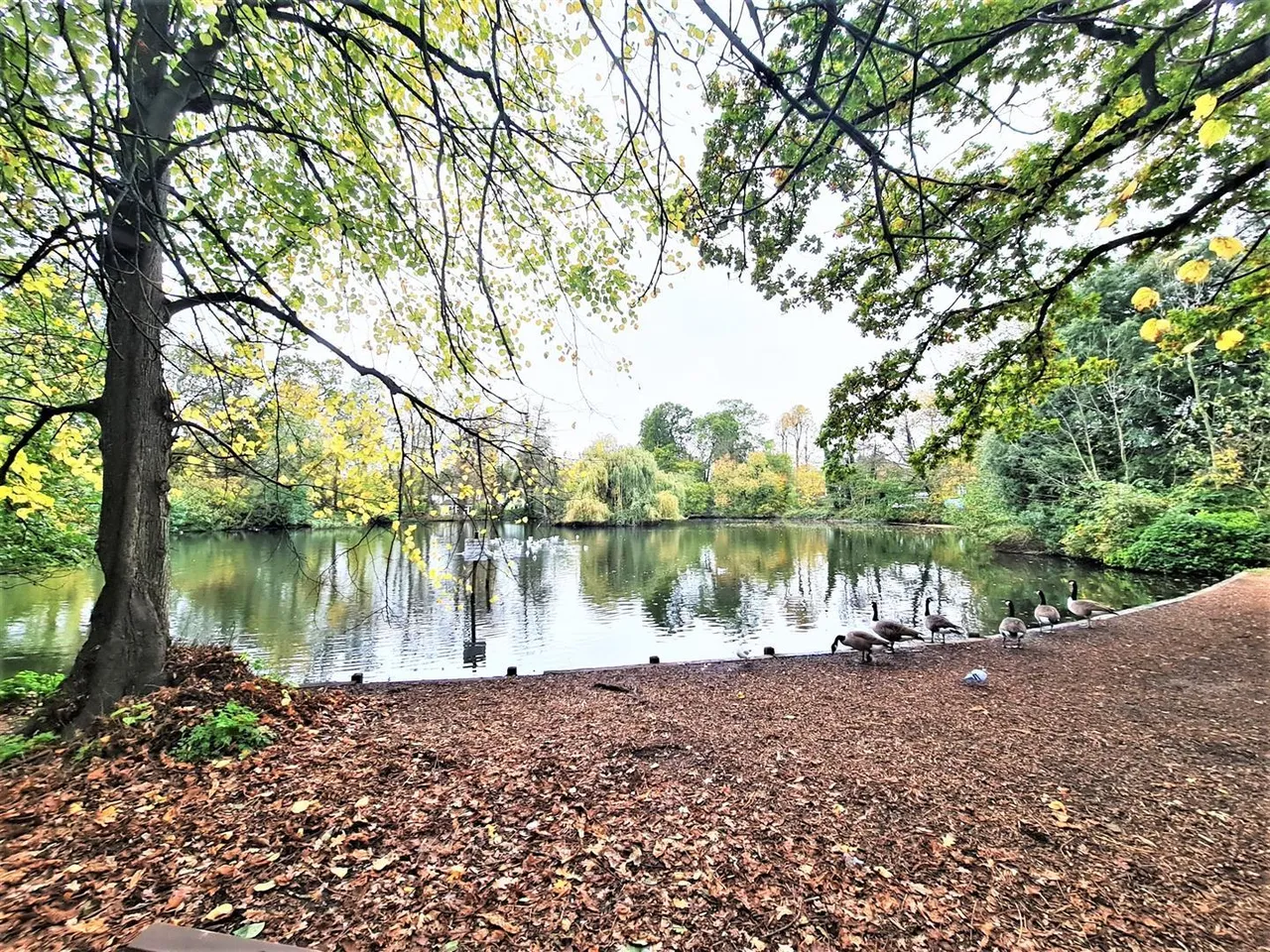 Lake View, Edgware, photo 21