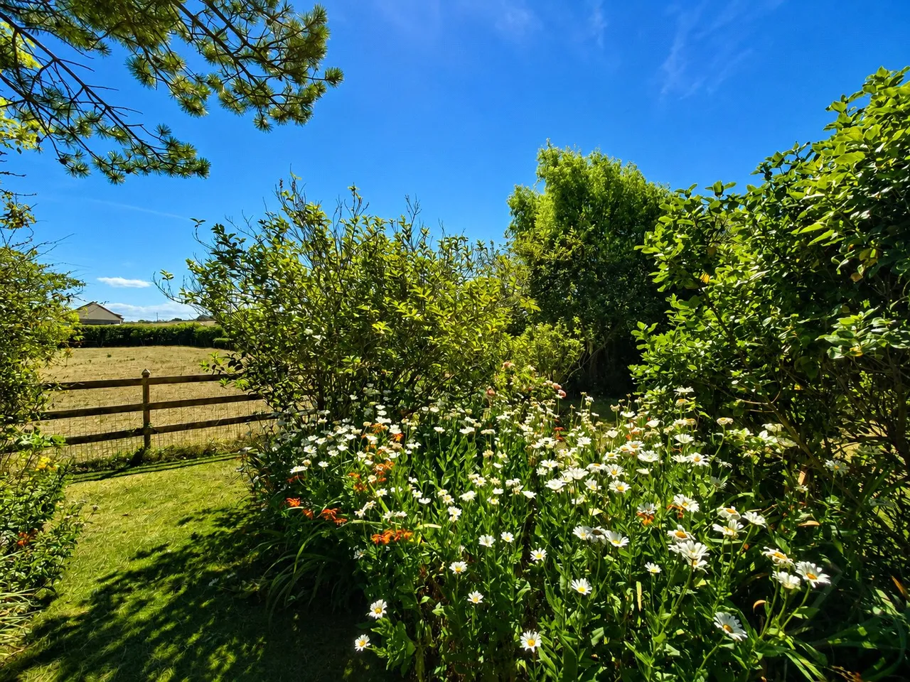Combe Lane, Widemouth Bay, EX23, photo 30