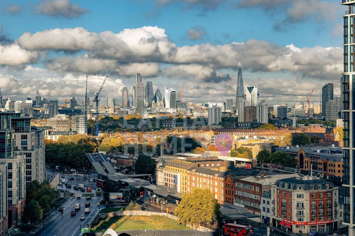 Carnation Way, London, photo 14