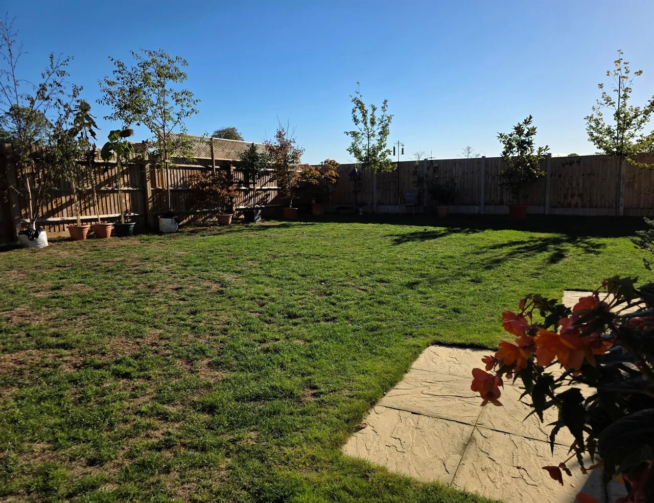 Cattlegate, Elmswell, IP30, photo 19
