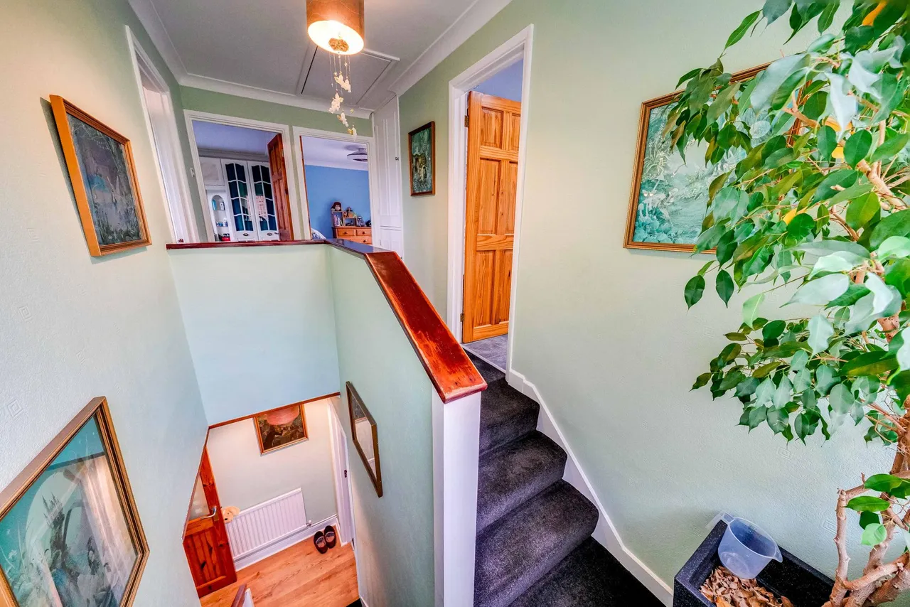 Holland Close, Bromley, BR2, photo 22