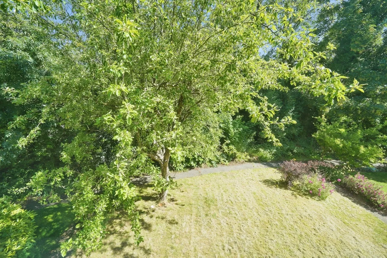 St. Michaels Drive, Appleby Magna, DE12, photo 23