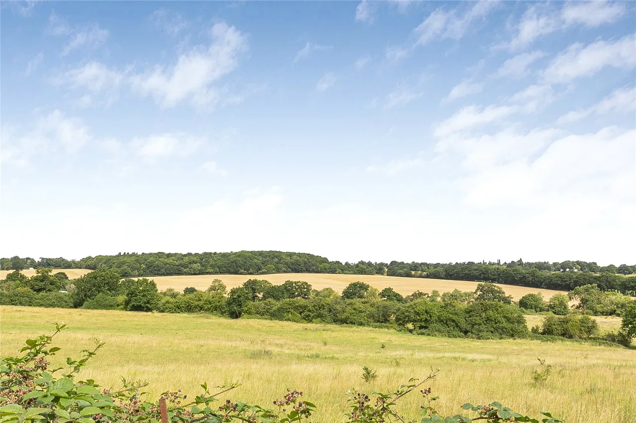 Camlet Way, Hadley Wood, Hertfordshire, EN4 0NL, photo 28