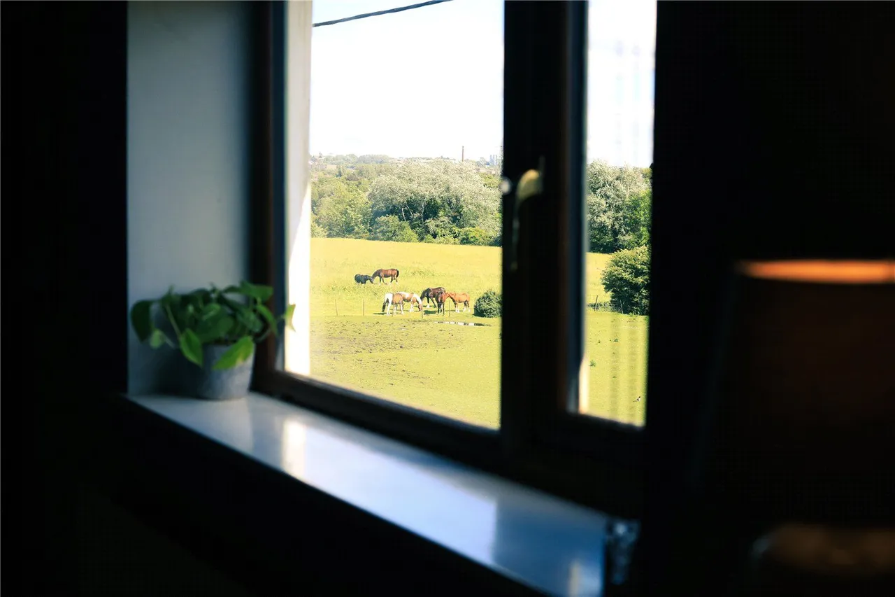 Acres, Chadderton, OL1, photo 22