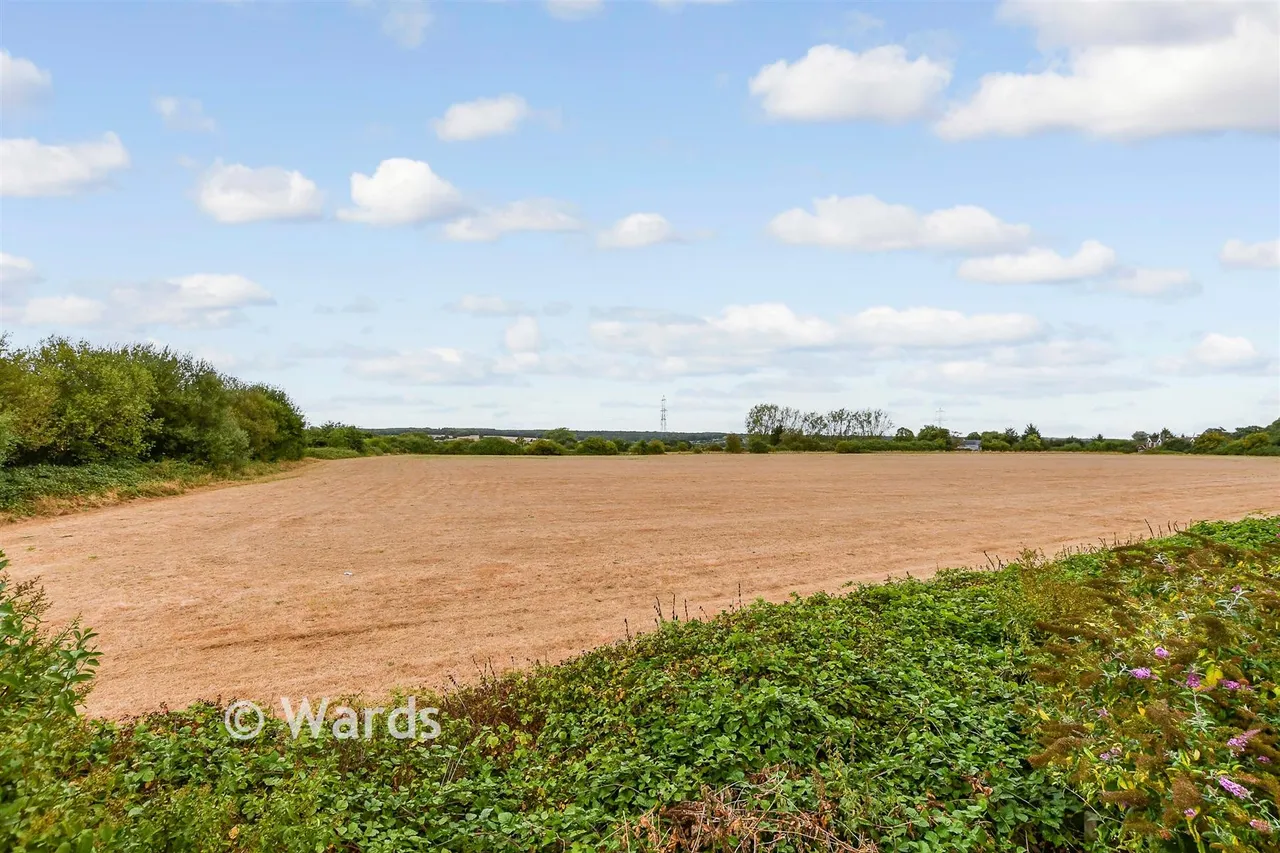 Sweechgate, Broad Oak, CT2, photo 11
