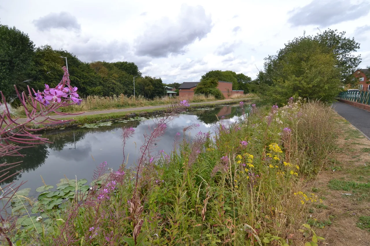 Barbel Drive, Wolverhampton, West Midlands, WV10 0TQ, photo 16