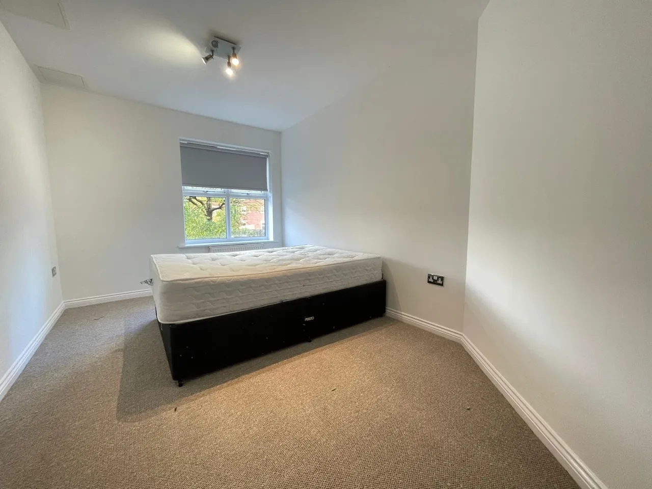 Carisbrooke Road, Far Headingley, LS16, photo 6