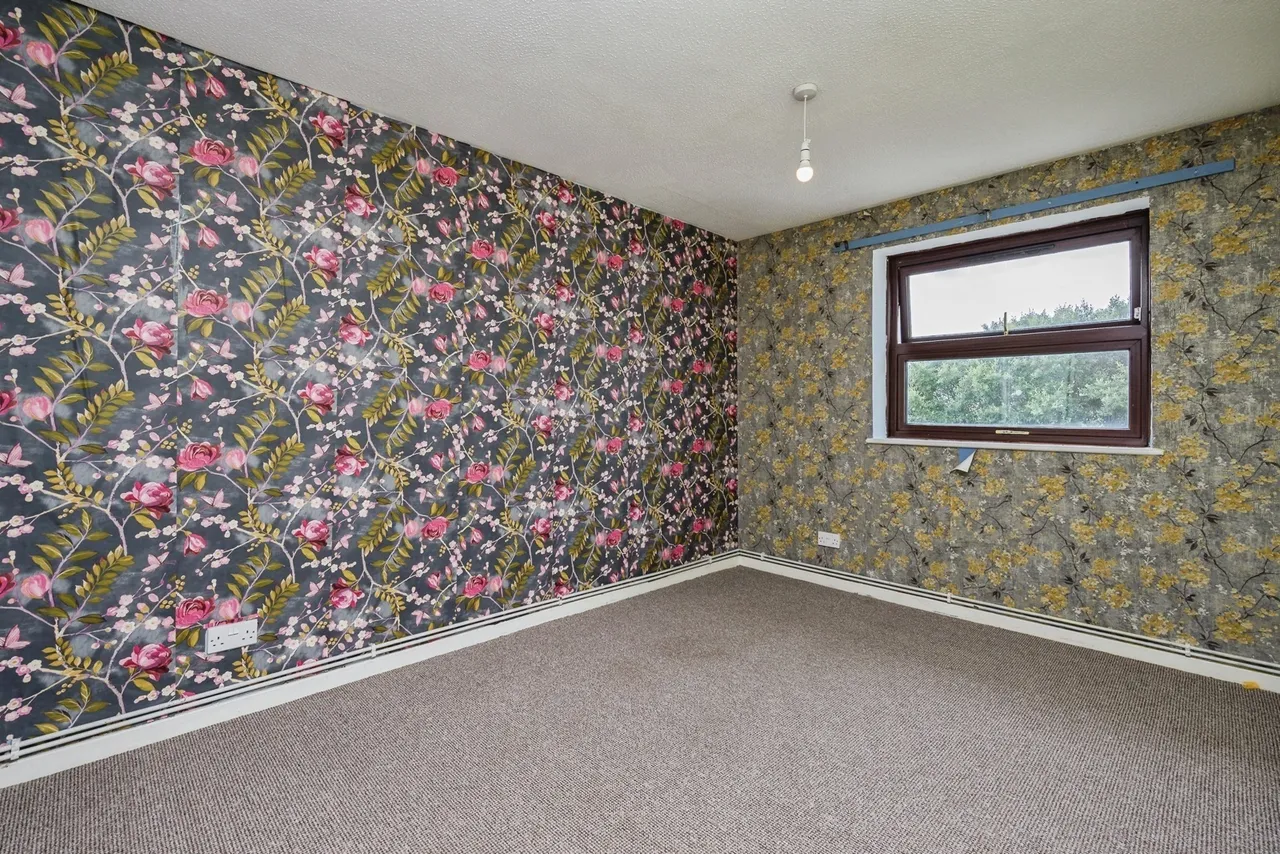 Raglan Road, Plymouth, PL1, photo 12