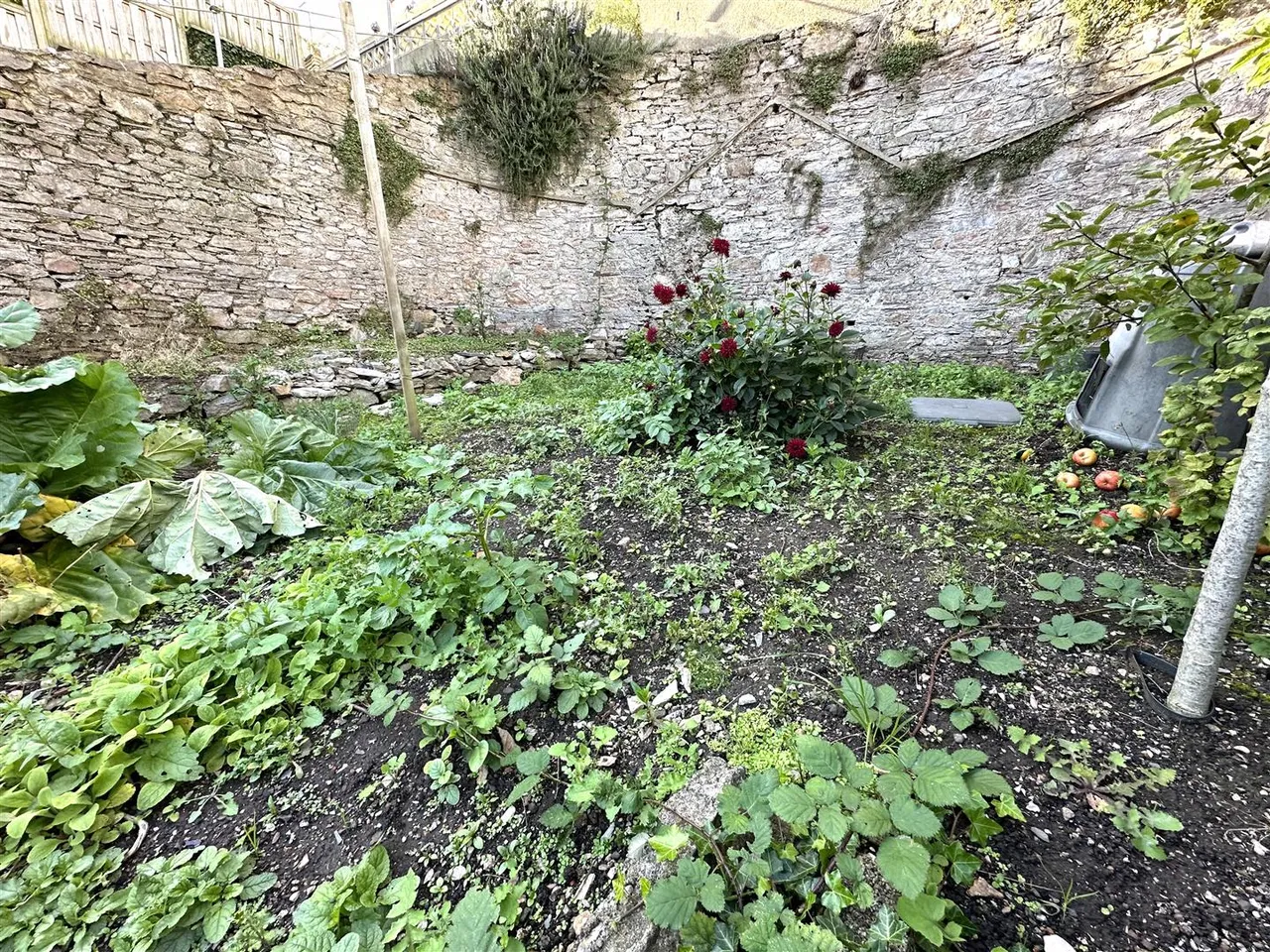 New Road, Brixham, photo 10