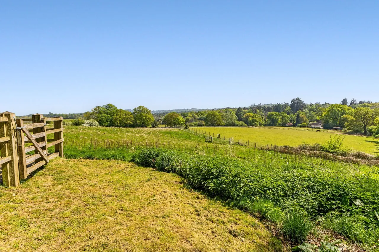 Church Lane, Witley, GU8, photo 24