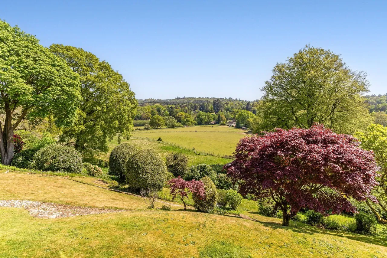 Church Lane, Witley, GU8, photo 22