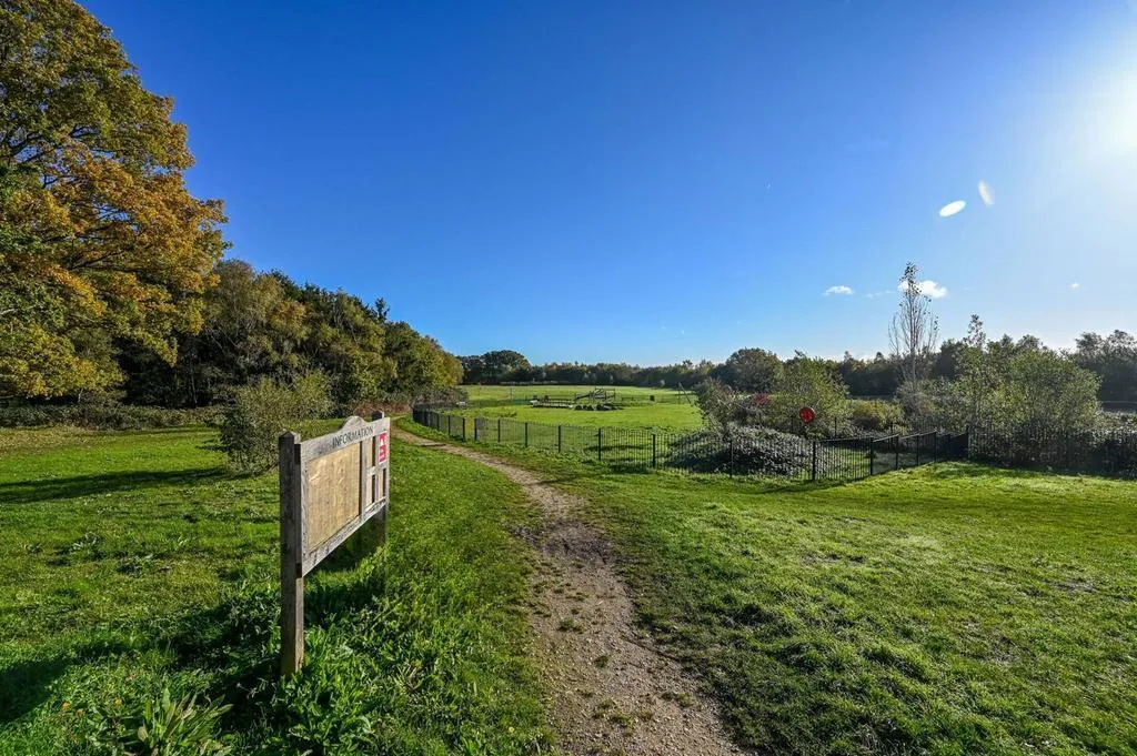 Strawberry Fields, Addlestone, KT15, photo 22